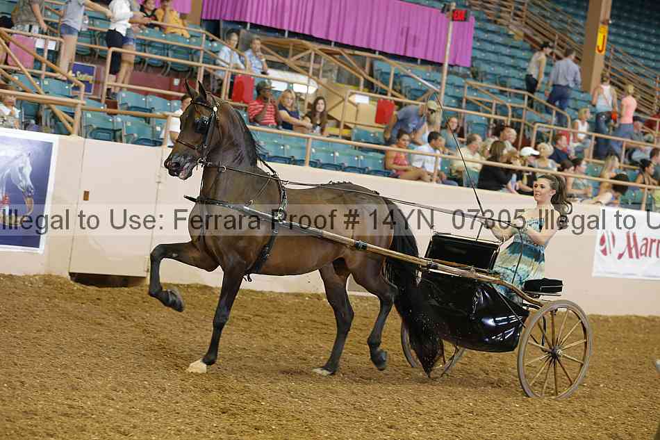 Proof 14yn_07305
