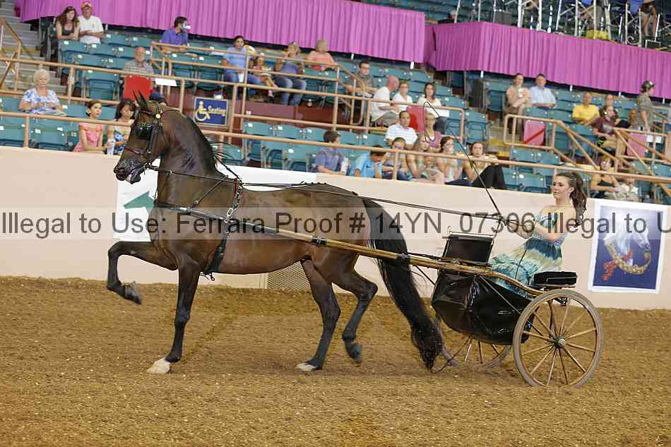 Proof 14yn_07306