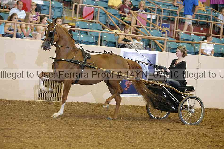 Proof 14yn_07310