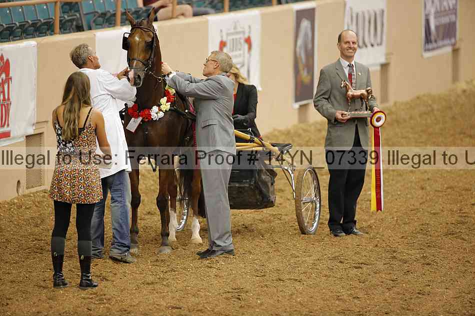 Proof 14yn_07339