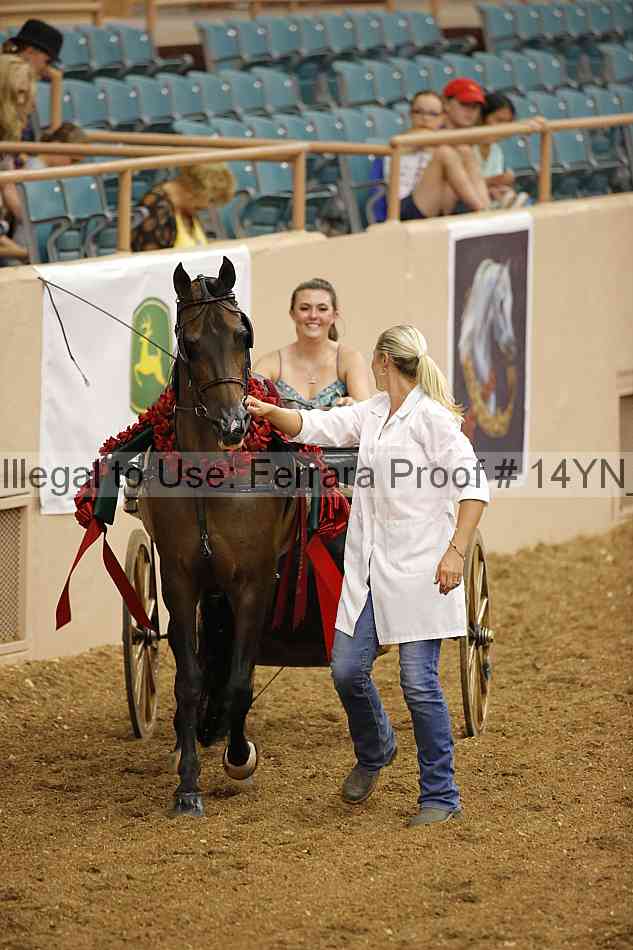 Proof 14yn_07355