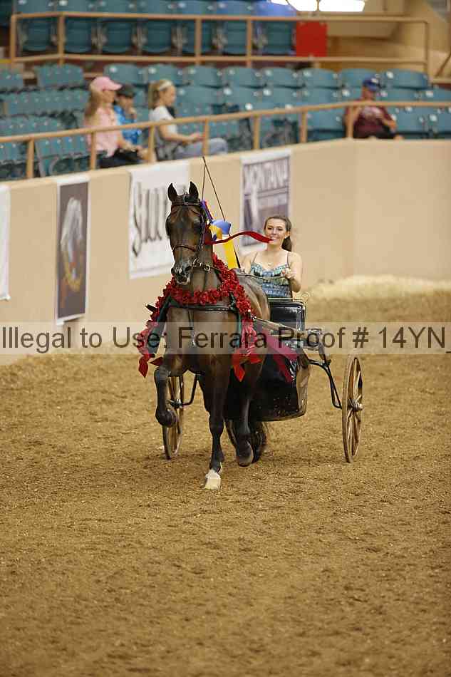 Proof 14yn_07396