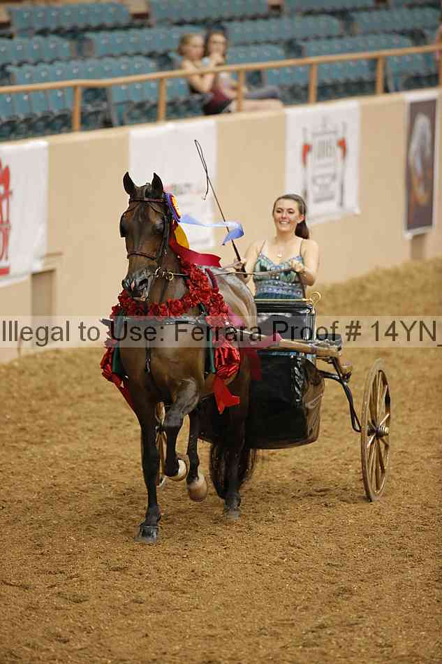 Proof 14yn_07398