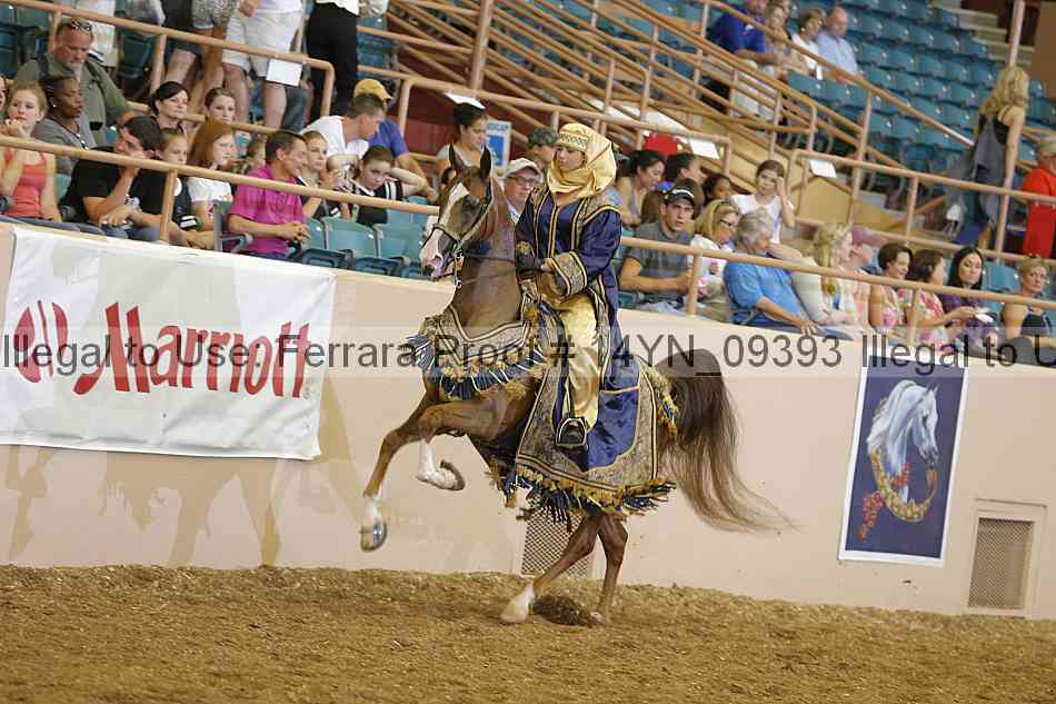 Proof 14yn_09393