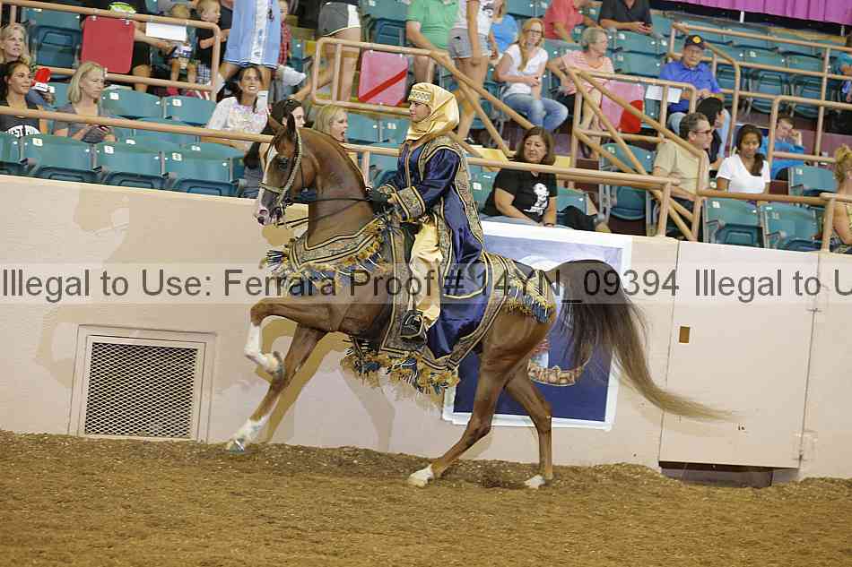 Proof 14yn_09394