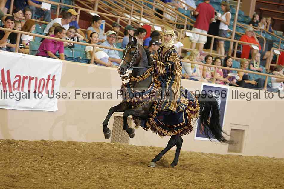 Proof 14yn_09396