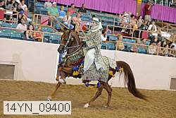 14yn_09400 proof