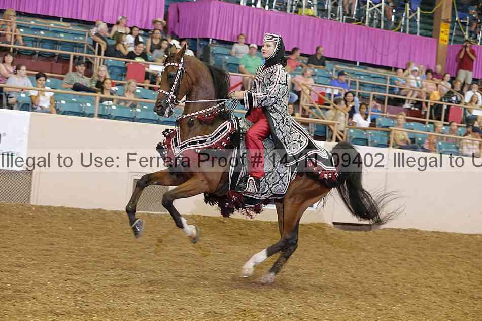 Proof 14yn_09402