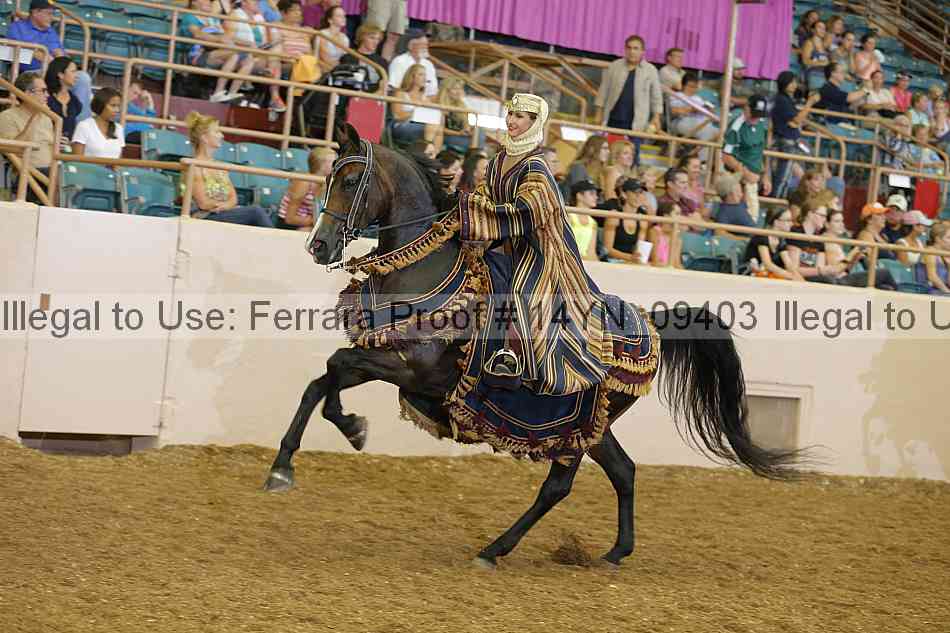 Proof 14yn_09403