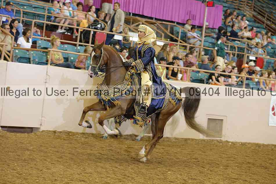 Proof 14yn_09404