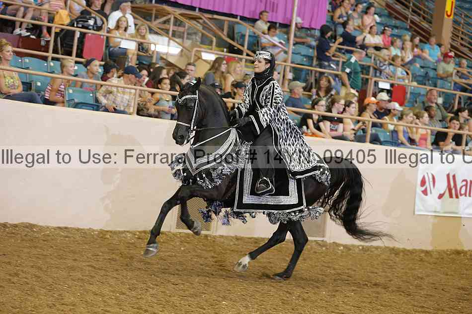 Proof 14yn_09405