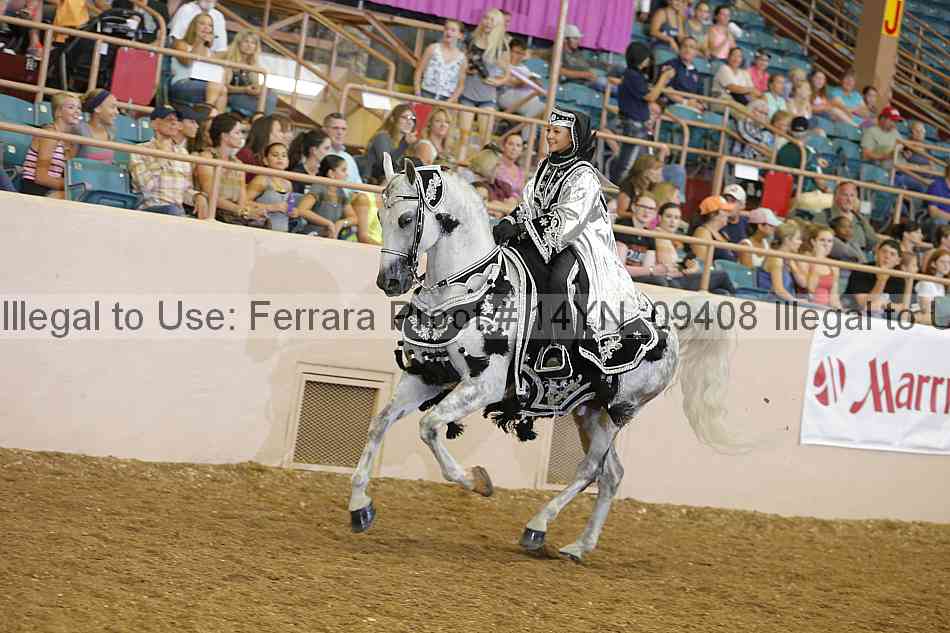 Proof 14yn_09408