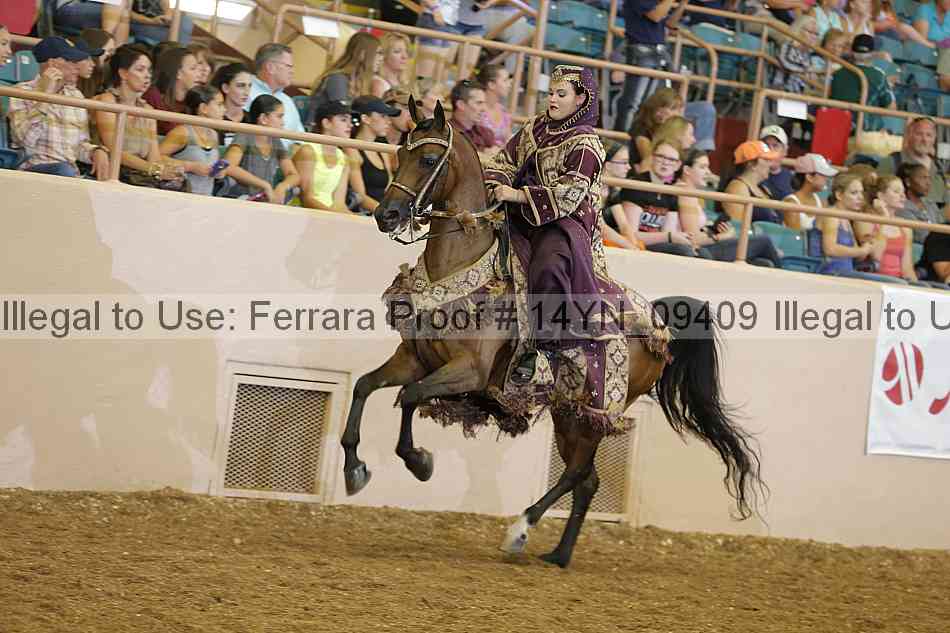 Proof 14yn_09409