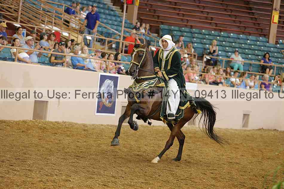 Proof 14yn_09413