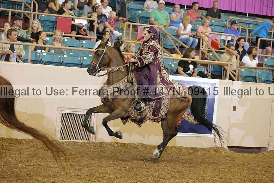 Proof 14yn_09415