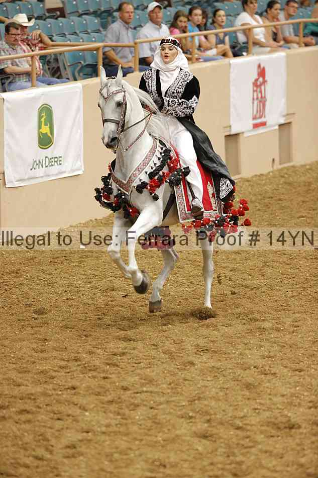 Proof 14yn_09418