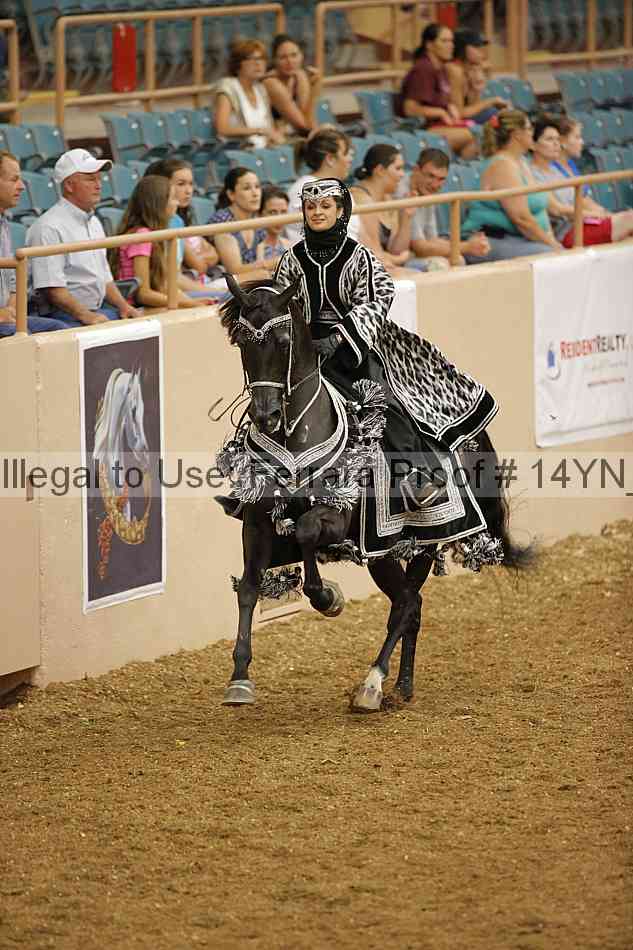 Proof 14yn_09423
