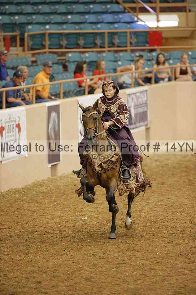 Proof 14yn_09433