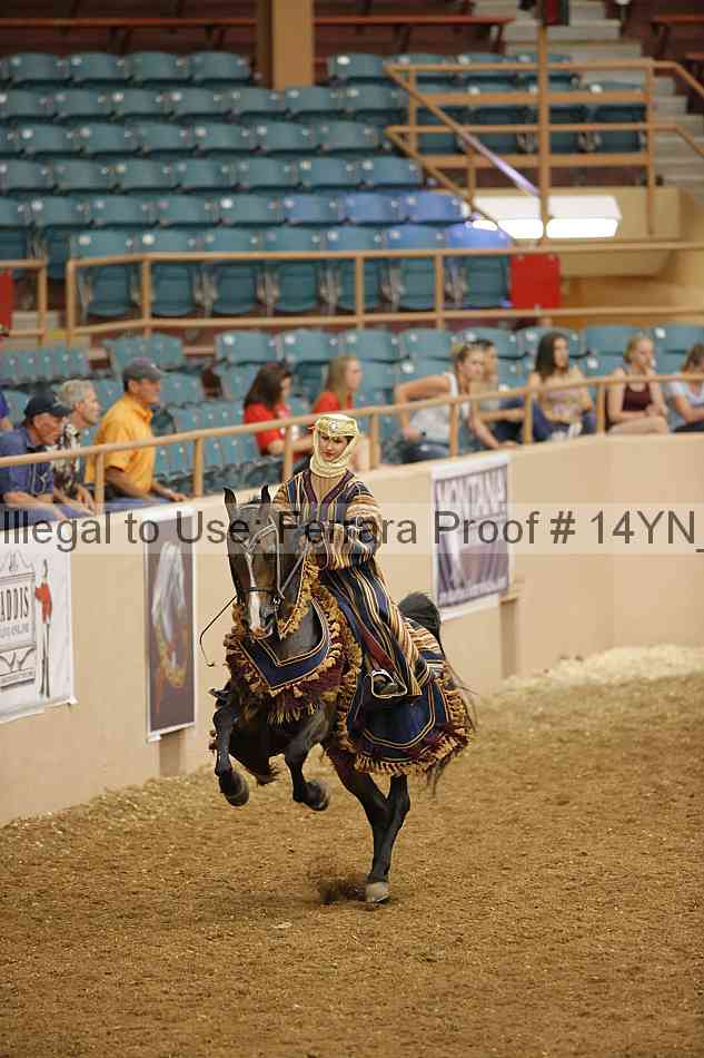 Proof 14yn_09436