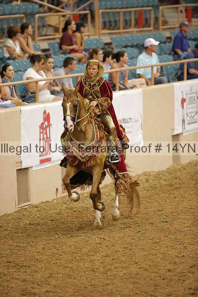 Proof 14yn_09446