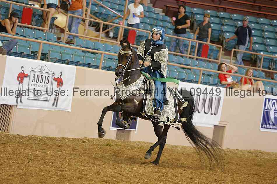 Proof 14yn_09449