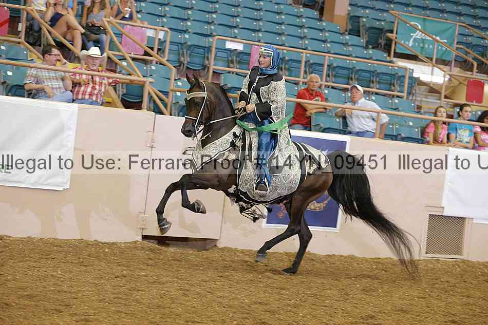 Proof 14yn_09451