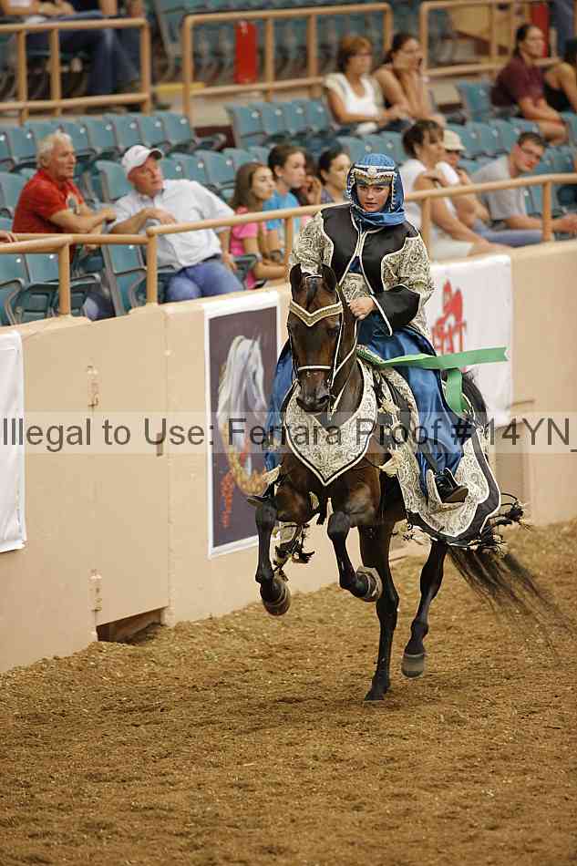 Proof 14yn_09452