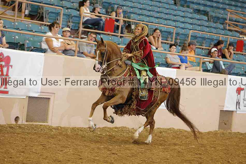 Proof 14yn_09456