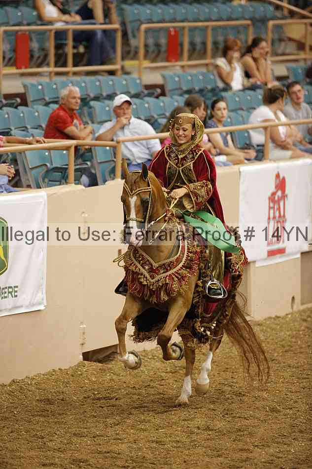 Proof 14yn_09459