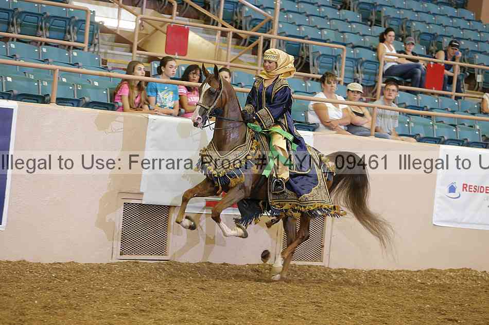 Proof 14yn_09461