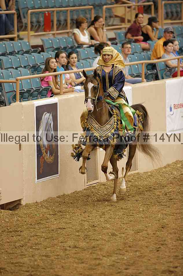 Proof 14yn_09463