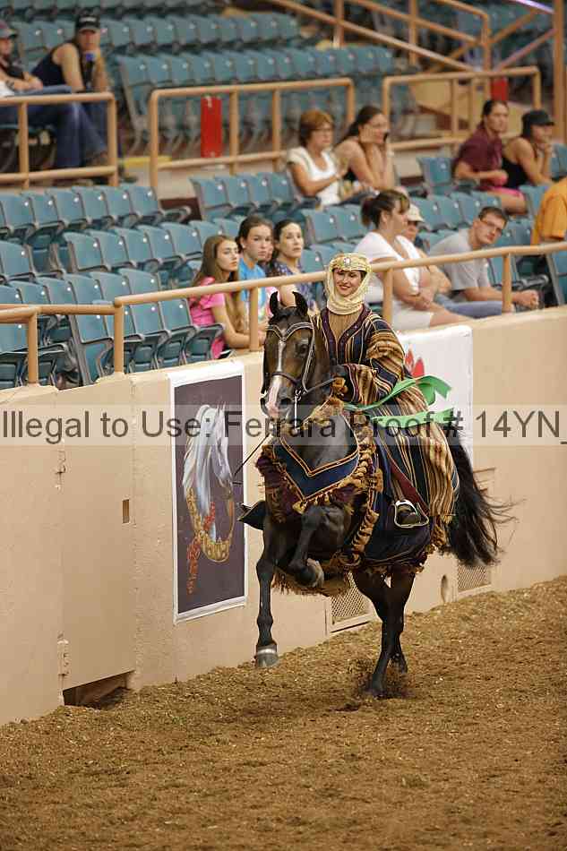 Proof 14yn_09470