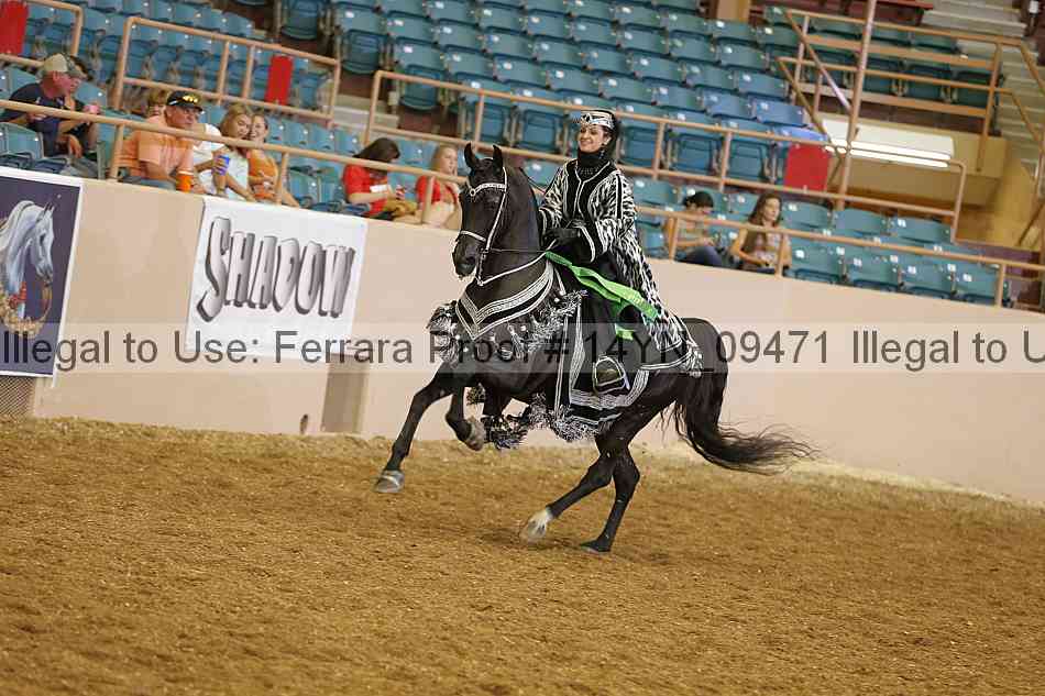Proof 14yn_09471