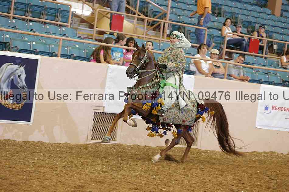 Proof 14yn_09476