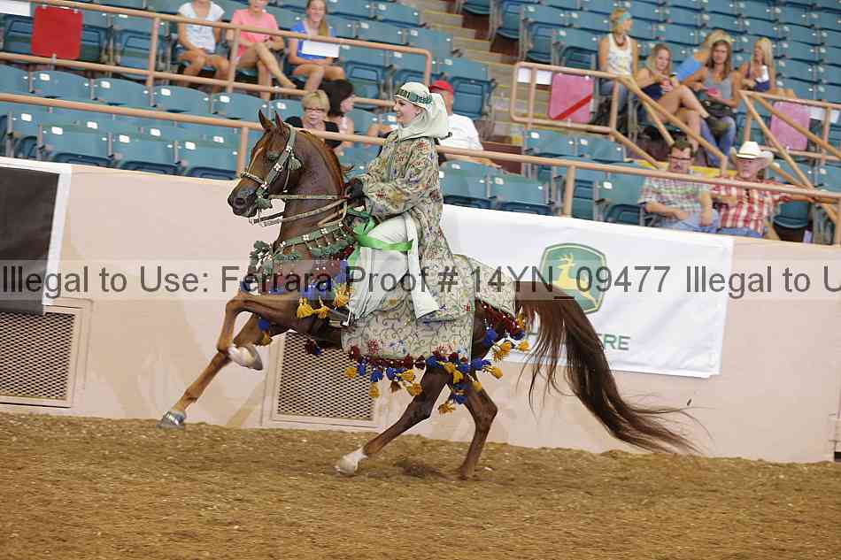 Proof 14yn_09477