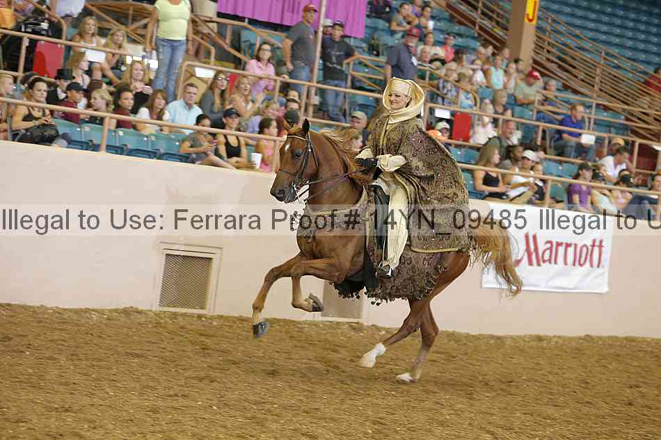 Proof 14yn_09485