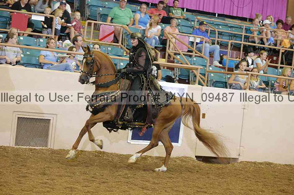 Proof 14yn_09487