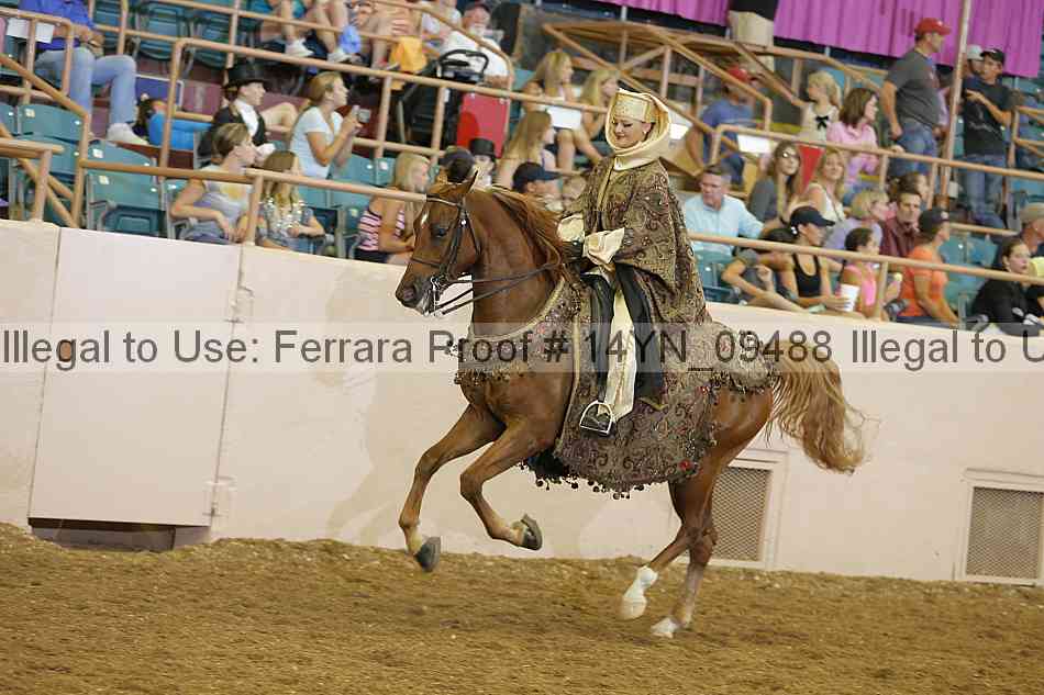 Proof 14yn_09488