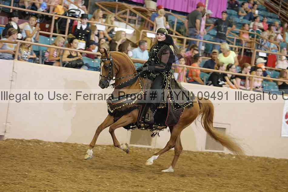 Proof 14yn_09491