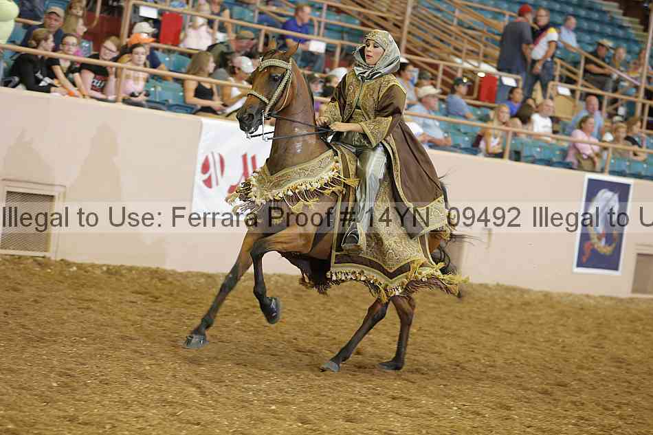 Proof 14yn_09492