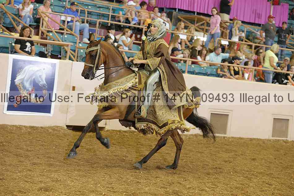 Proof 14yn_09493