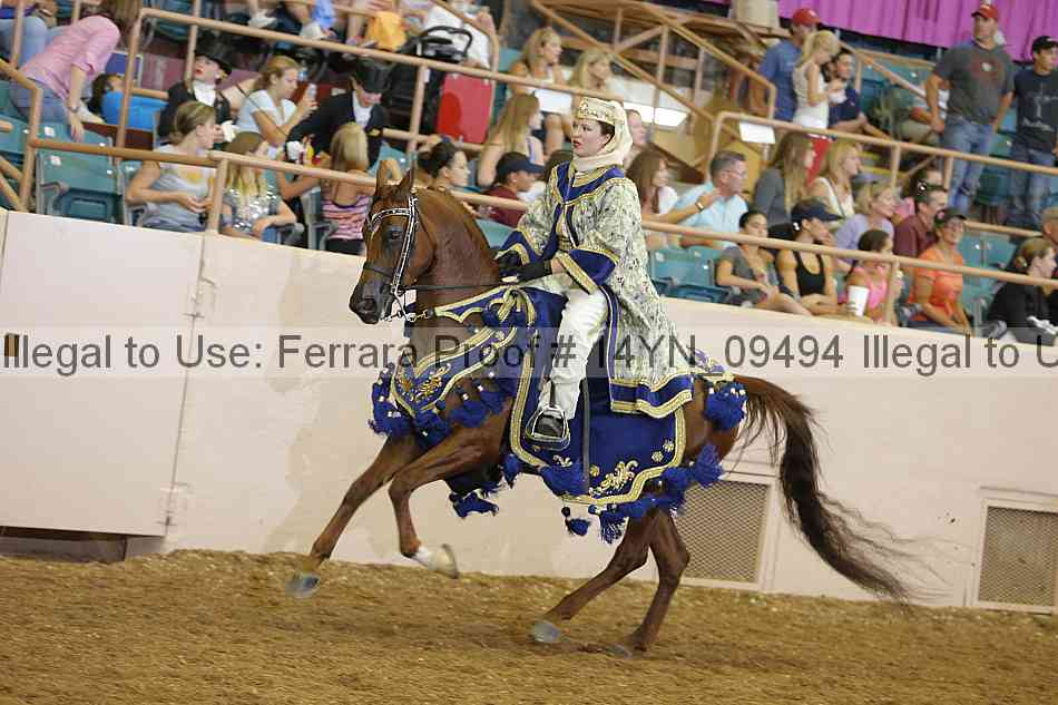 Proof 14yn_09494