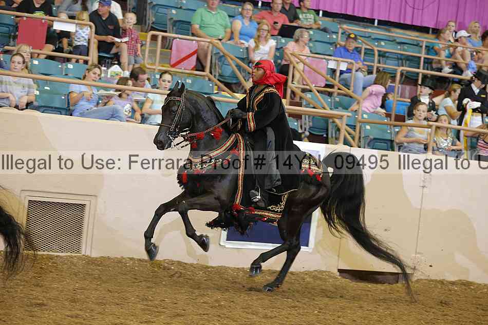 Proof 14yn_09495