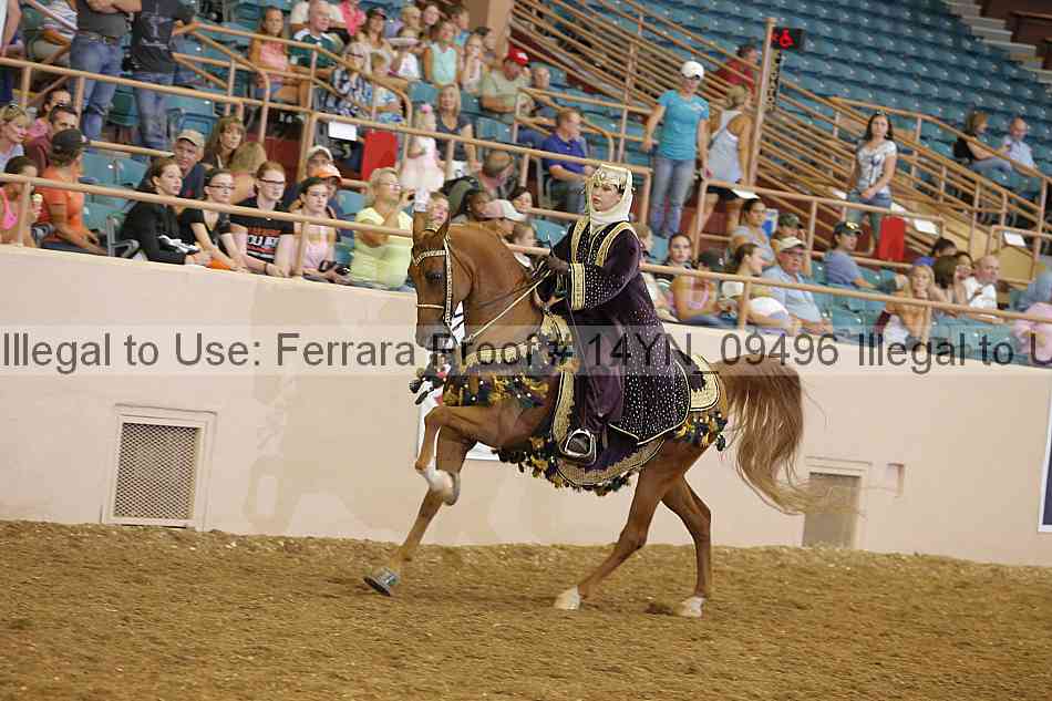 Proof 14yn_09496