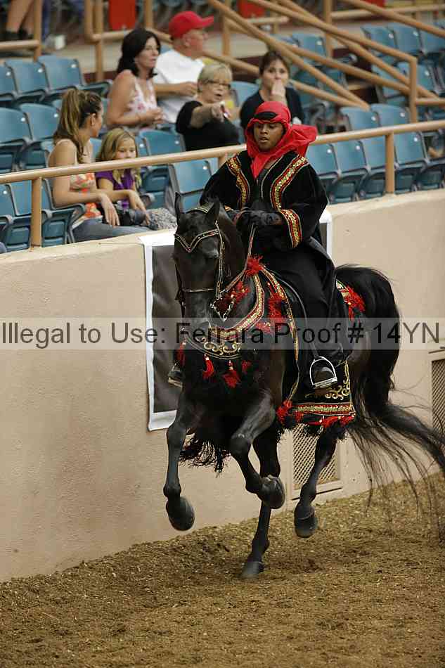 Proof 14yn_09501