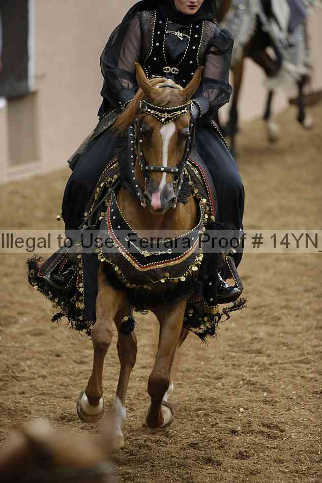 Proof 14yn_09502