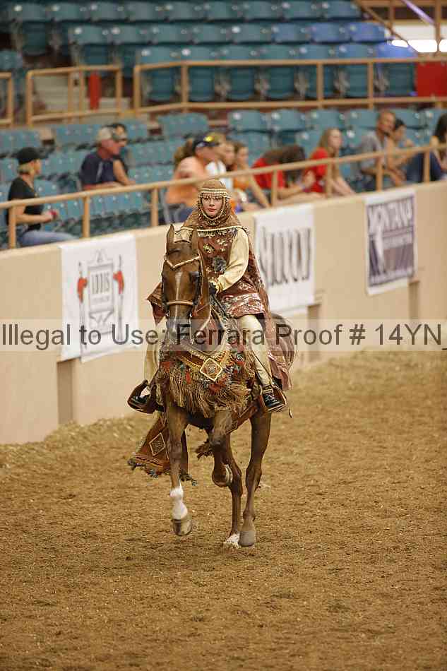 Proof 14yn_09503
