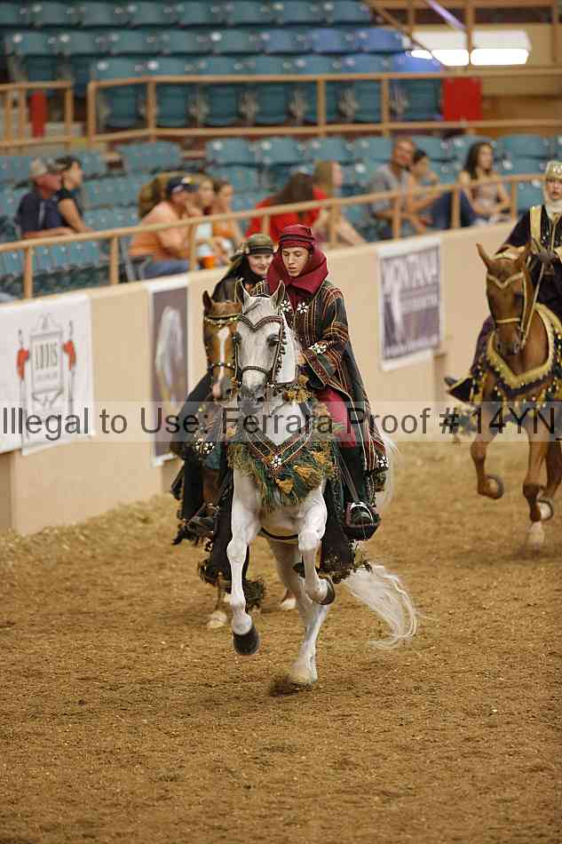 Proof 14yn_09504