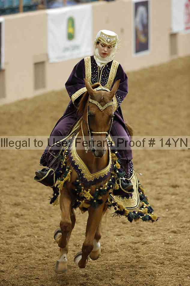 Proof 14yn_09505