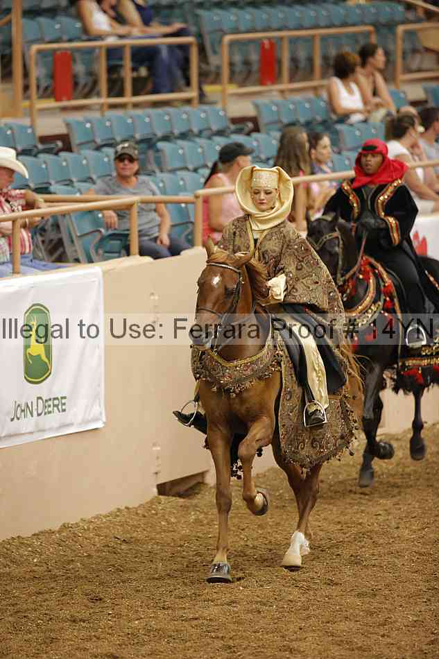 Proof 14yn_09506
